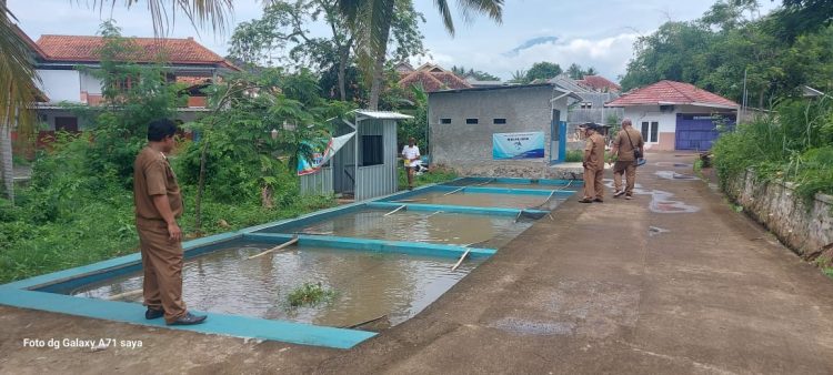 Monitoring dan Evaluasi Pembangunan Kecamatan Garawangi Tahun 2024